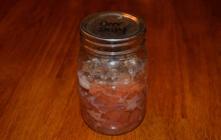 canned_deer_meat_in_can