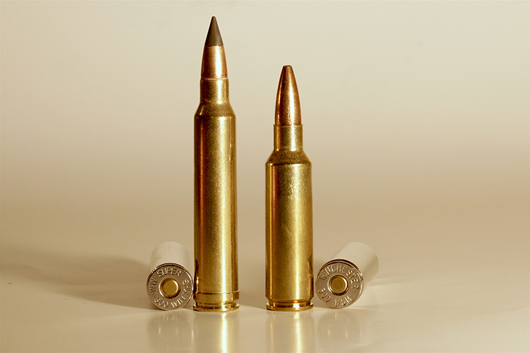 325 WSM / .325 Winchester Short Magnum (using Hornady bullets) reloading da...